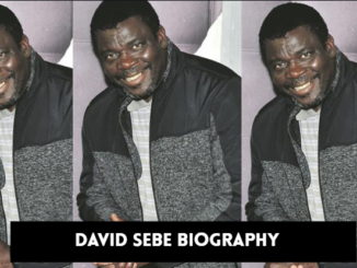 david sebe biography