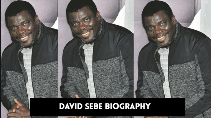 david sebe biography